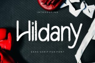 Using Hildany in a Real Branding Project