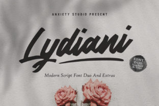 Using the Lydiani Duo Font for Professional Web Design