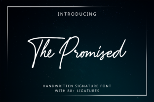 Using The Promised Font for Brand Identity and Marketing